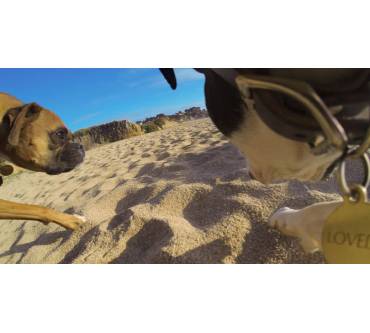 Produktbild GoPro Fetch