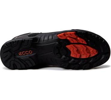 Produktbild Ecco Biom Terrain