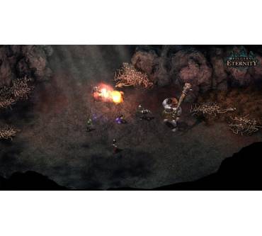 Produktbild Pillars of Eternity