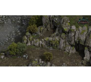 Produktbild Pillars of Eternity