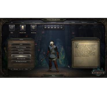 Produktbild Pillars of Eternity