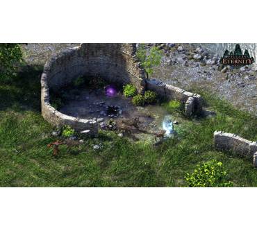 Produktbild Pillars of Eternity