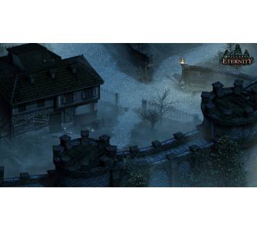 Produktbild Pillars of Eternity