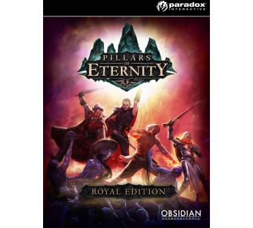 Produktbild Pillars of Eternity