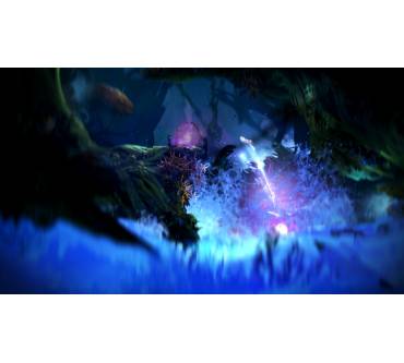 Produktbild Ori and the Blind Forest