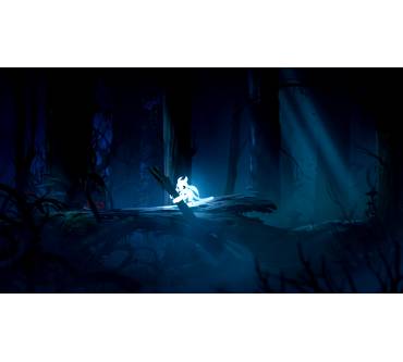 Produktbild Ori and the Blind Forest