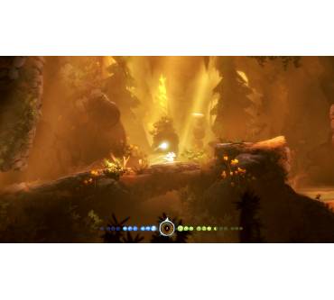 Produktbild Ori and the Blind Forest