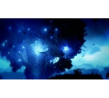 Produktbild Ori and the Blind Forest