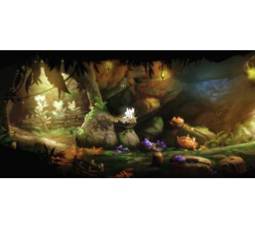 Produktbild Ori and the Blind Forest