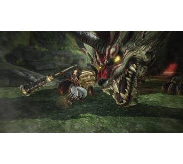 Produktbild Toukiden: Kiwami