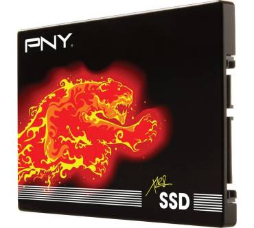 Produktbild PNY XLR CS2111 SSD 480 GB