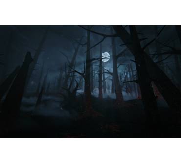 Produktbild Kholat (für PC)