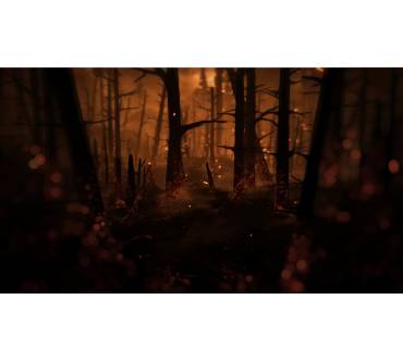 Produktbild Kholat (für PC)