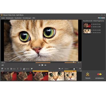 Produktbild Movavi Video Suite 14
