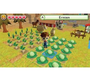 Produktbild Harvest Moon: Das verlorene Tal (für 3DS)