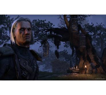 Produktbild The Elder Scrolls Online: Tamriel Unlimited