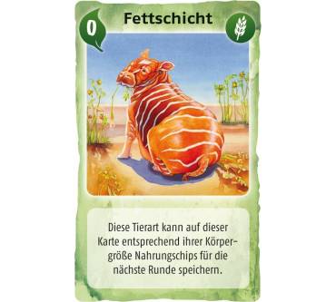 Produktbild Schmidt Spiele Evolution