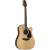 Produktbild Takamine GD90CE-ZC