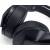 Produktbild Sony Platinum Wireless Headset