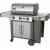 Produktbild Weber Genesis II SP-335 GBS