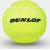 Produktbild Dunlop Sports BTV 1.0