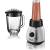 Produktbild Russell Hobbs Steel 2-in-1 Glas-Standmixer