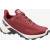 Produktbild Salomon Alphacross Blast GTX