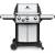 Produktbild Broil King Signet 340