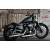 Sportster Iron 883 (25 kW) [11]