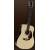 Boucher Guitar Products Wild Goose Dreadnought Testsieger