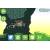 Produktbild Rovio Mobile Bad Piggies