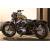 Sportster Forty-Eight (49 kW) [13]