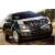 SRX 3.6 V6 AWD Automatik Sport Luxury (234 kW) [09]