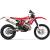 RR Enduro 2T 300 [14]