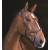 Produktbild Horseware Ireland Rambo Micklem Multi Bridle