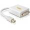 DVI-Mini DisplayPort