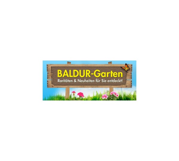 Baldur Garten Pflanzenversand Gartenversand Test Testberichte De