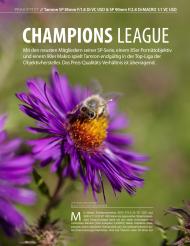 Pictures Magazin: Champions League (Ausgabe: 10)