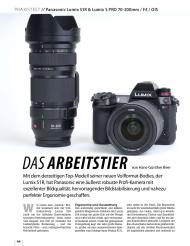 Pictures Magazin: Das Arbeitstier (Ausgabe: 11)