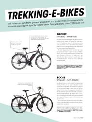 electricar: Trekking-E-Bikes (Ausgabe: 3)