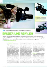 PC VIDEO: Brüder und Rivalen (Ausgabe: 1)