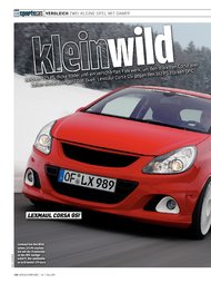 Auto Bild sportscars: Kleinwild (Ausgabe: 3)