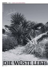 FOTOTEST: Die Wüste lebt! (Ausgabe: 2)