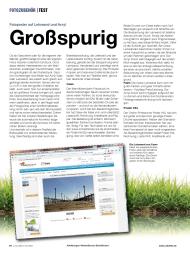 ColorFoto: Großspurig (Ausgabe: 12)